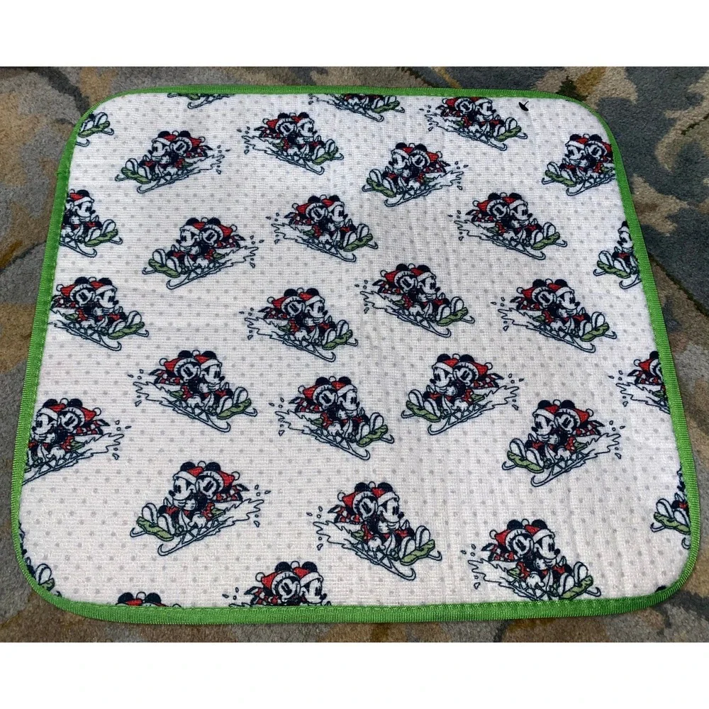 Mickey Mouse Winter Drying Mat